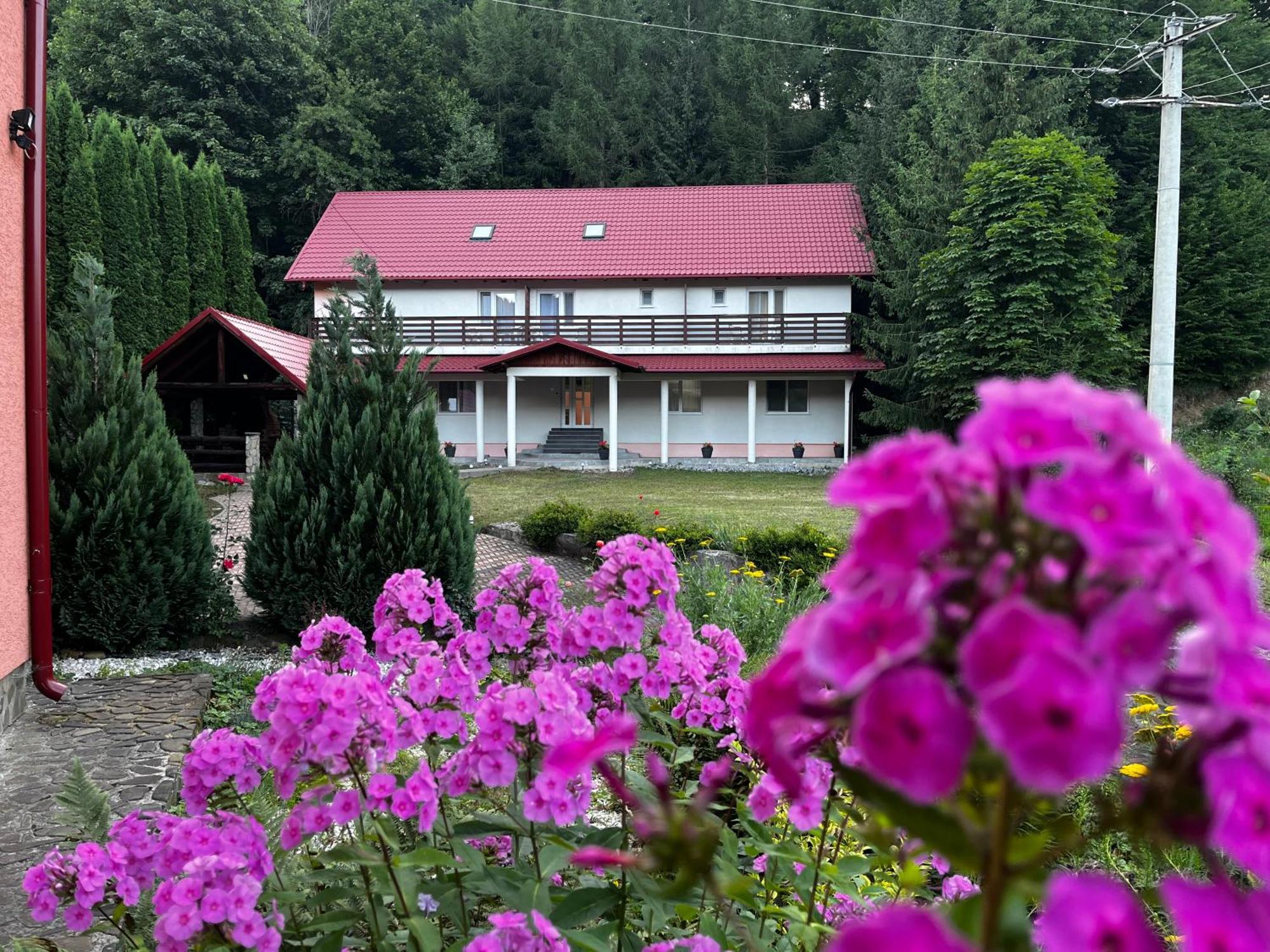Vacation Villa Sucevita Exteriér fotografie